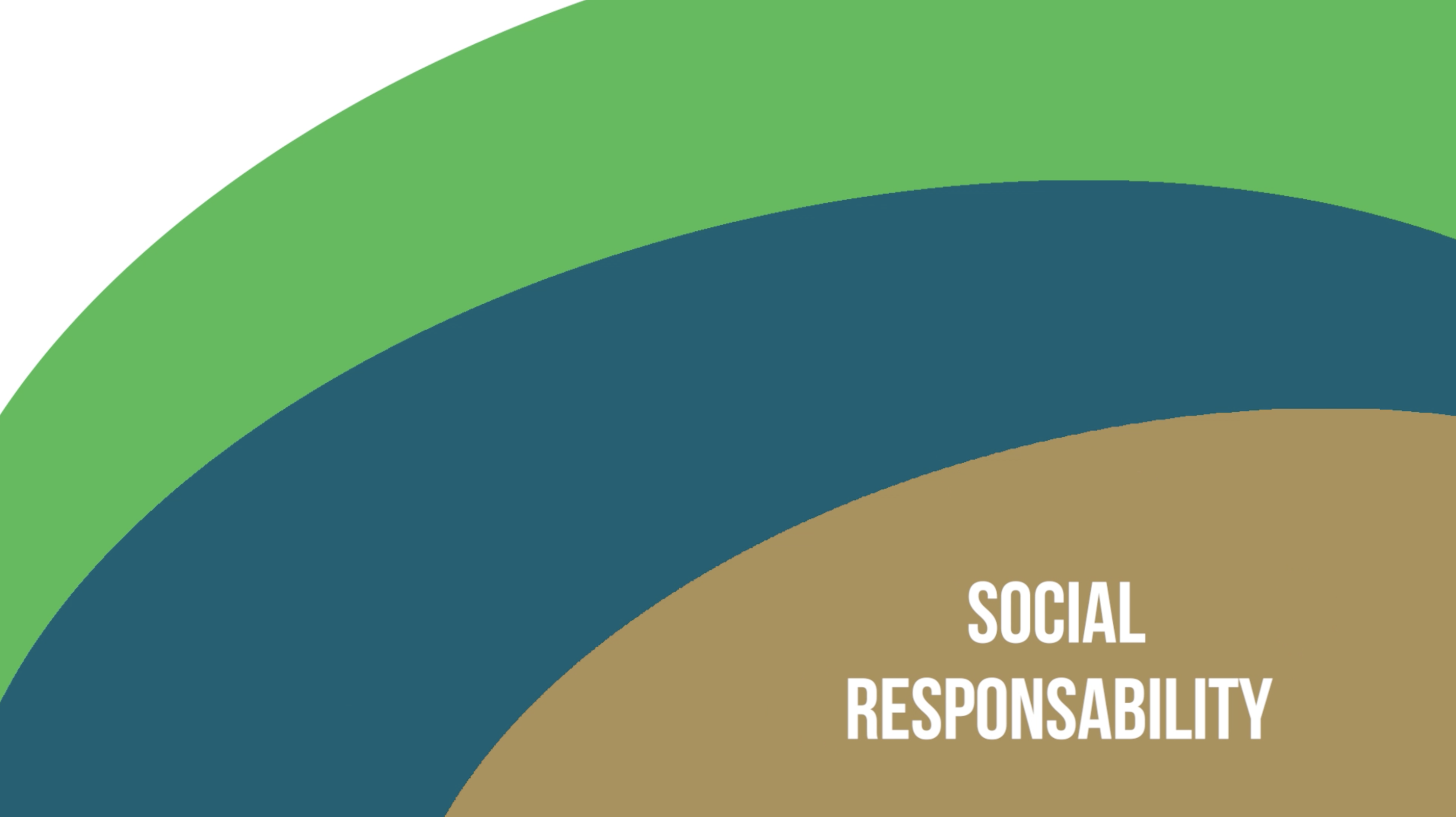 SocialResponsibility.png
