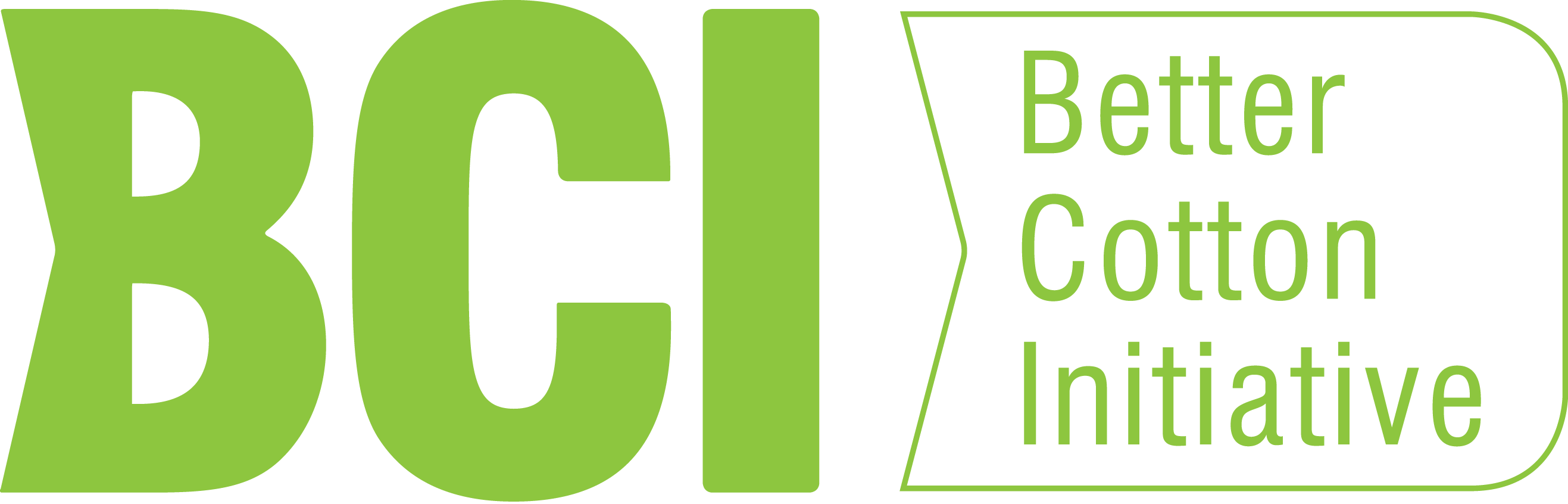 BCI.png