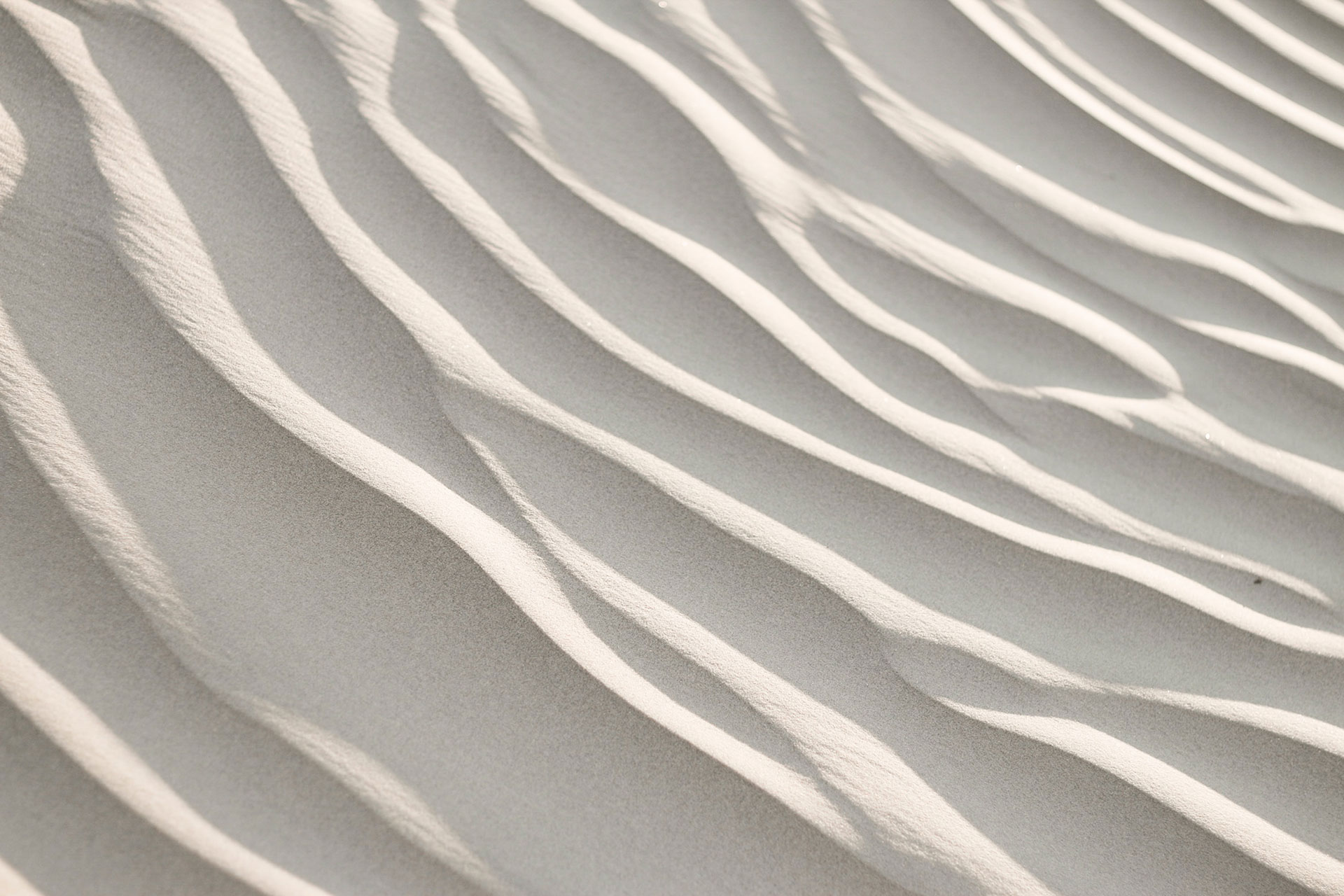 Attention to detail is our guiding principle