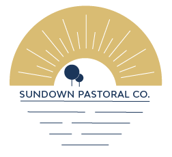 SUNDOWN-PNG.png