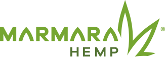 logo-header.png